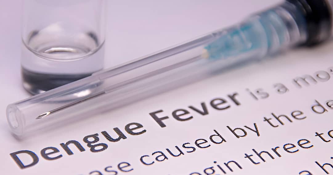 1nuisible1solution.com Dengue Symptômes Vaccin