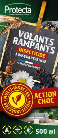 1nuisible1solution.com Insecticide Pyrèthre Volants Rampants