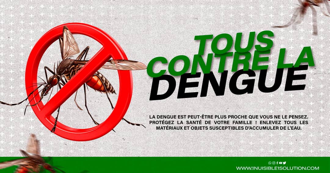 1nuisible1solution.com Moustique Dengue Action