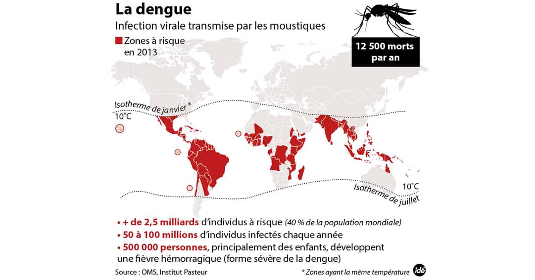 1nuisible1solution.com Moustique Dengue Monde