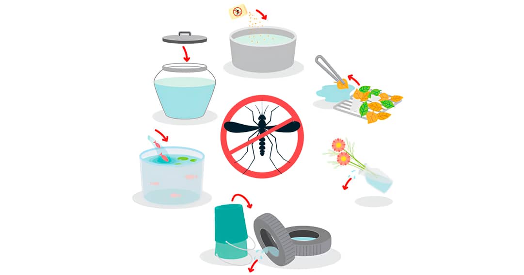 1nuisible1solution.com Moustique Dengue Prévention